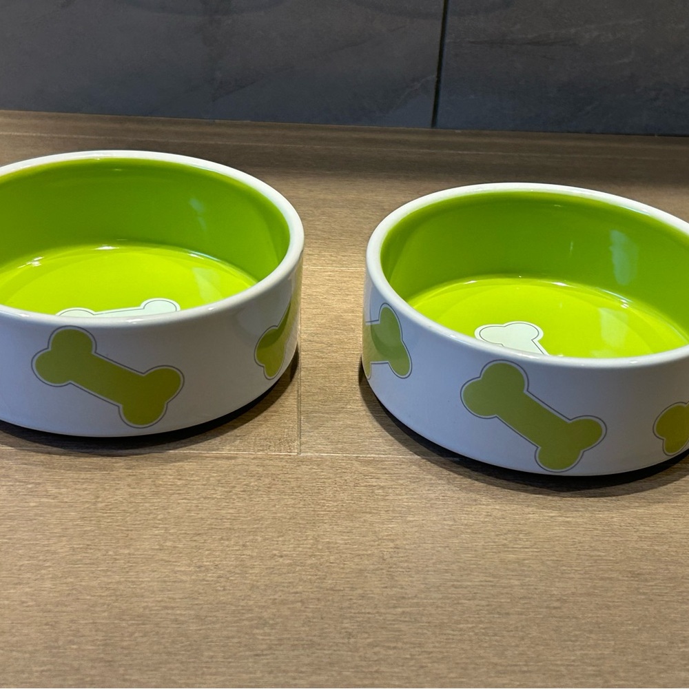 2X Petrageous Designs Kool Bones Green Dog Bowl, 2 Cup Small NWOT